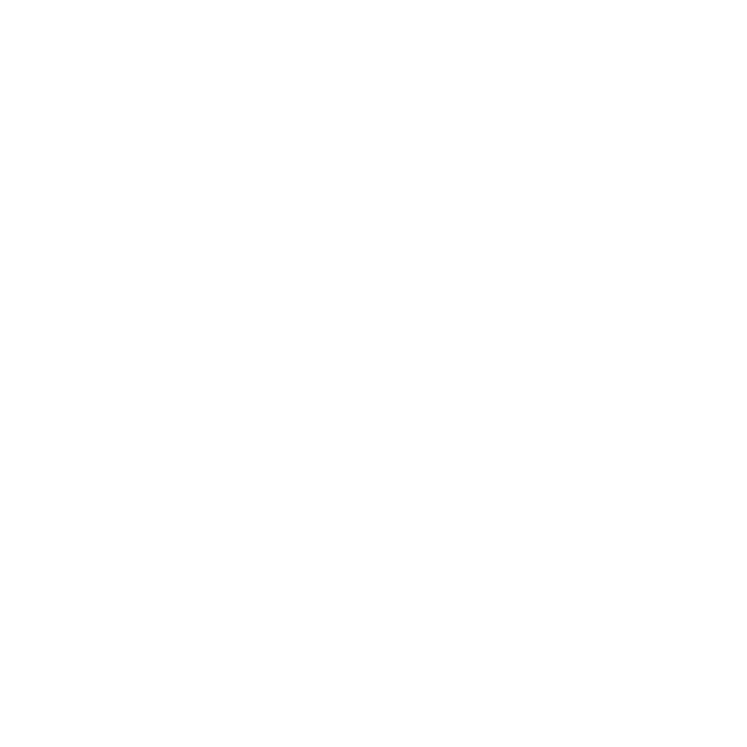 Divineforge_logo_white